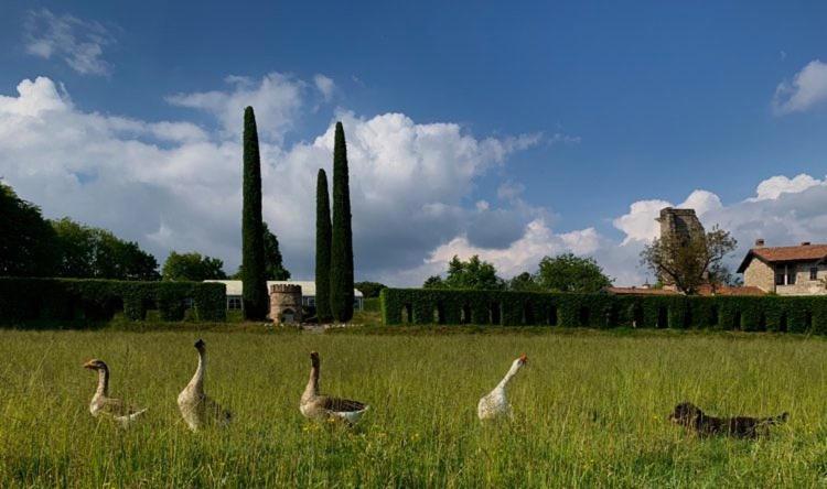 Castello Di Cernusco Lombardone Bed & Breakfast Екстериор снимка